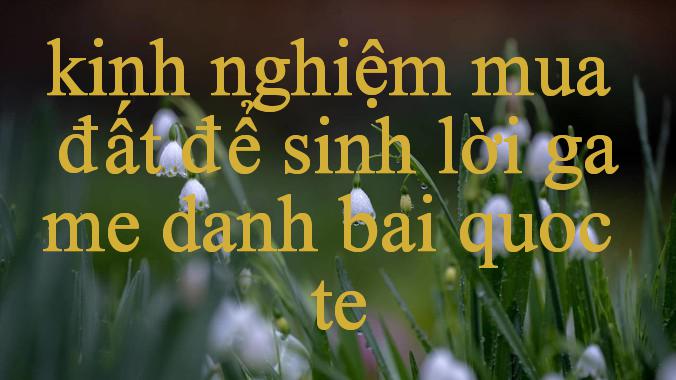 Kinh Nghiệm Mua Đất Để Sinh Lời Khám Phá Thế Giới Cá Cược Trực Tuyến An Toàn & Uy Tín