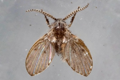 Khám Phá Bí Mật Của Https Nohu90S1.Blog Hướng Dẫn Chi Tiết